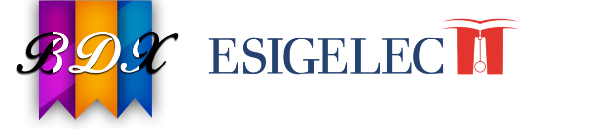 Le BDX-ESIGELEC